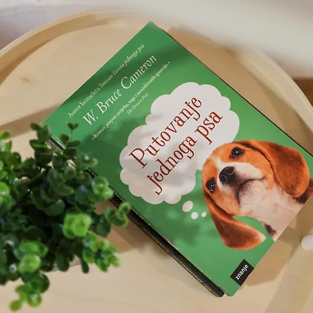 Prázdninový dům Stone House Lole *